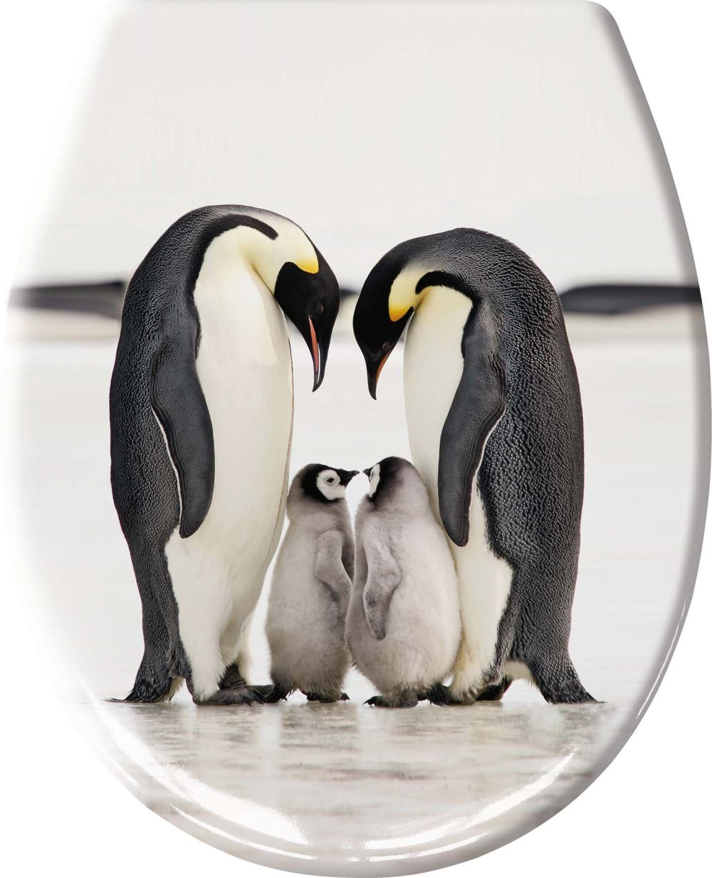 Καπάκι WC Jacksons