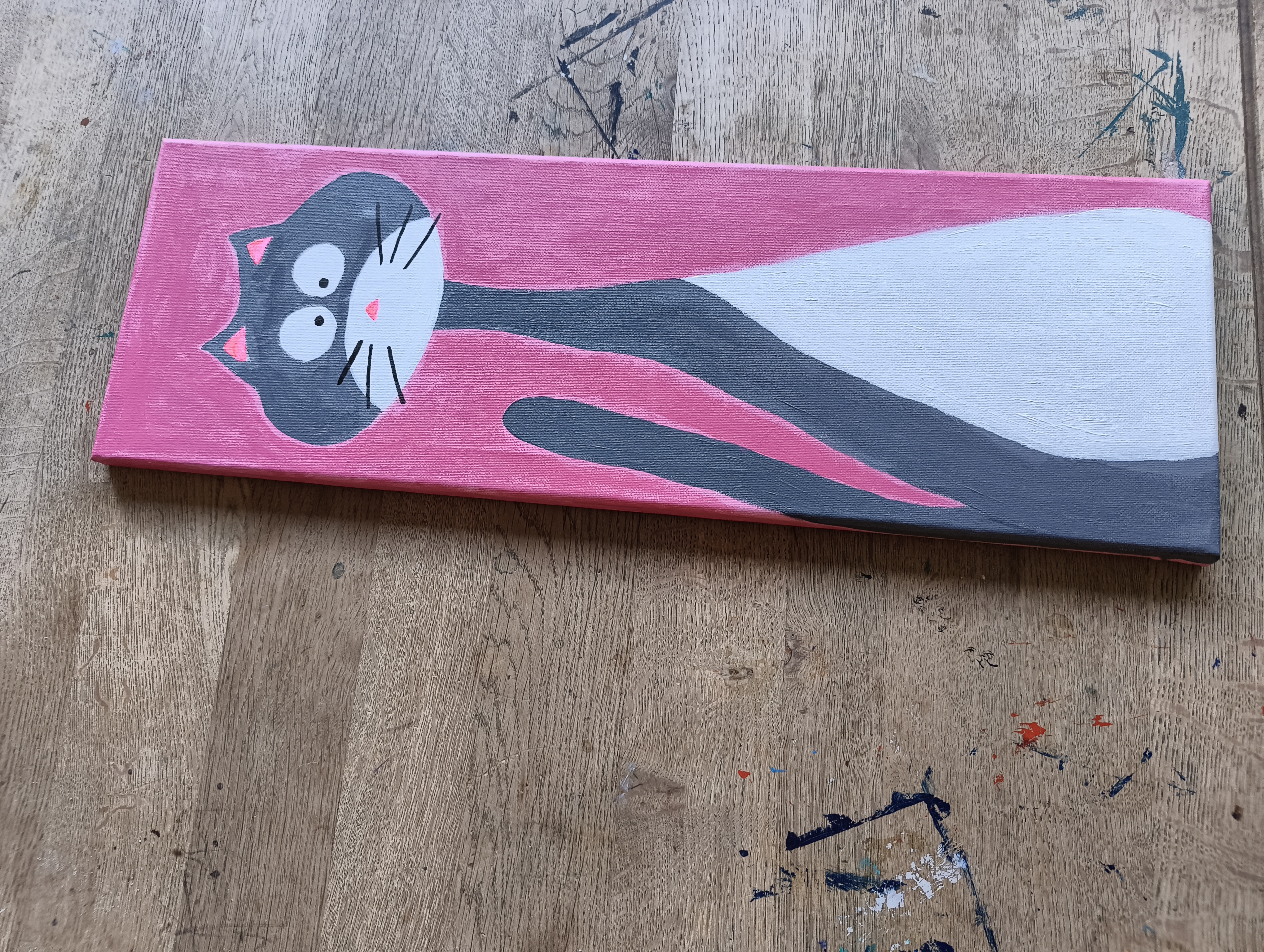 Καδράκι Extra Long Cat