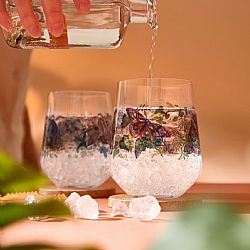 Ποτήρια Gin